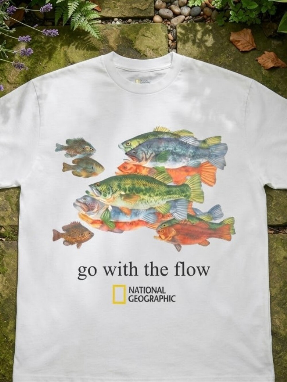 National Geographic fish with go with the flow text tee